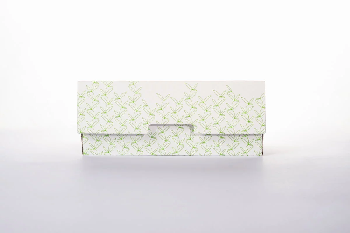 druckdesign_Tanner_Logo_und_Gesamtauftritt_Cannaplant_001