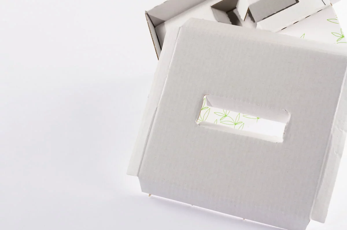 druckdesign_Tanner_Logo_und_Gesamtauftritt_Cannaplant_016