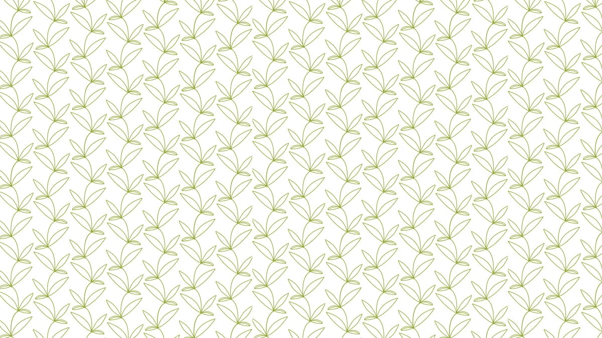 druckdesign_Tanner_Logo_und_Gesamtauftritt_Cannaplant_021